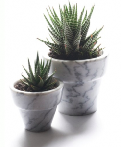 product4